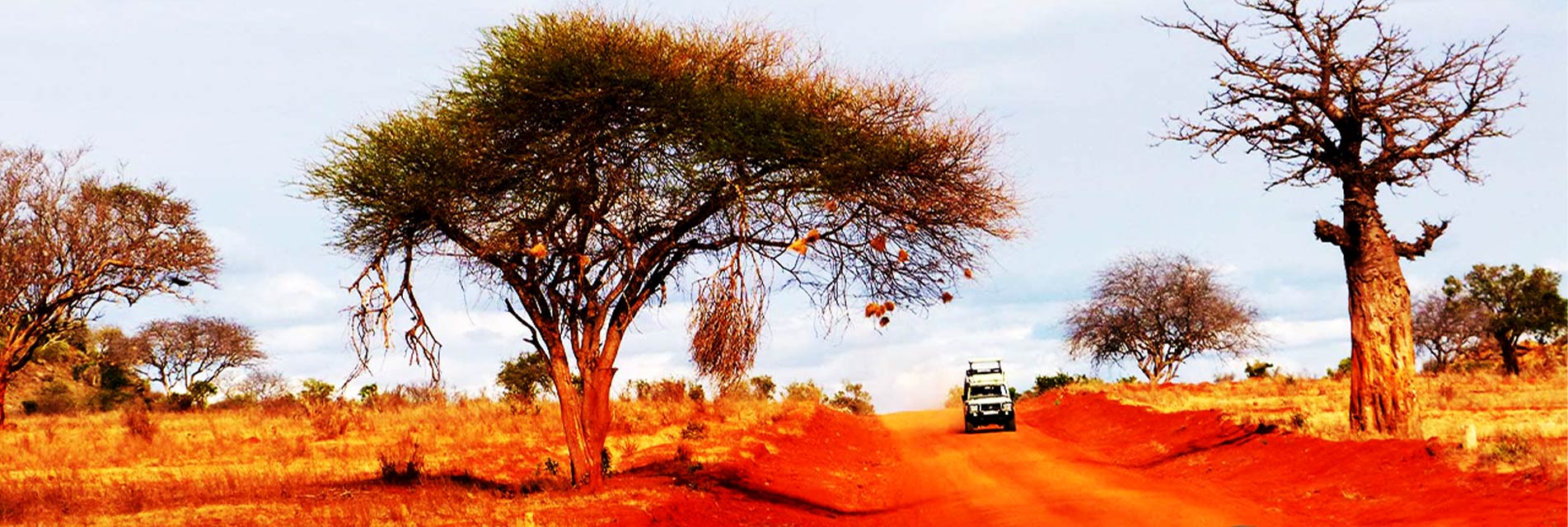 Main-Banner-Safari