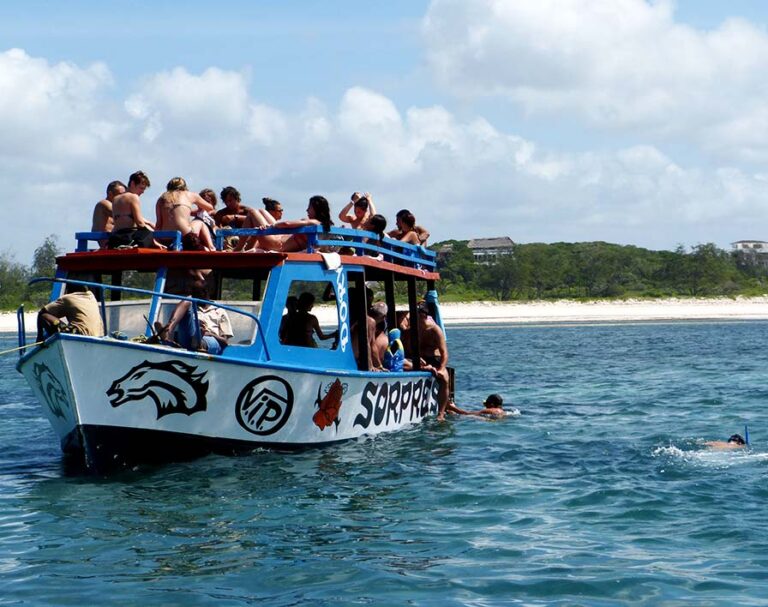 Snorkeling barriera corallina Parco Marino Watamu Wilderness 360