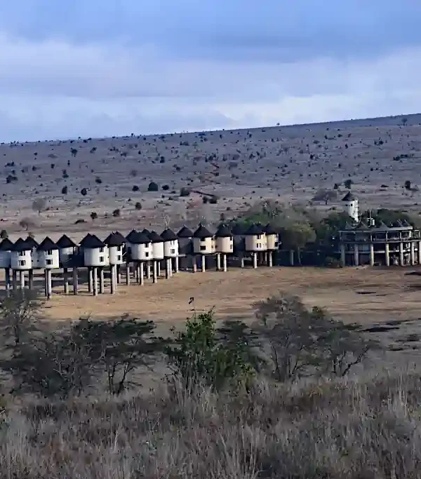 Il Sarova Salt Lick Game Lodge sospeso su palafitte a Taita Hills