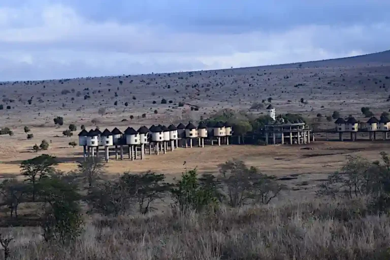 Il Sarova Salt Lick Game Lodge sospeso su palafitte a Taita Hills