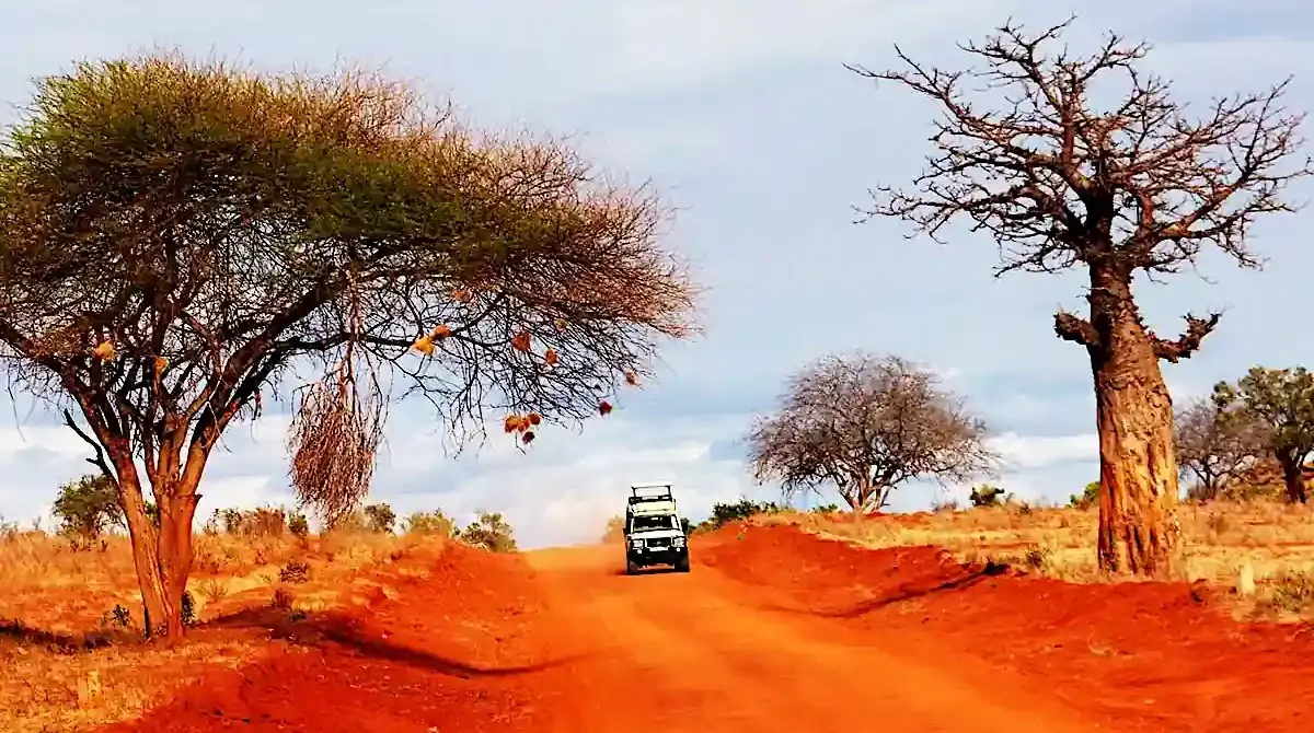 Safari in Kenya
