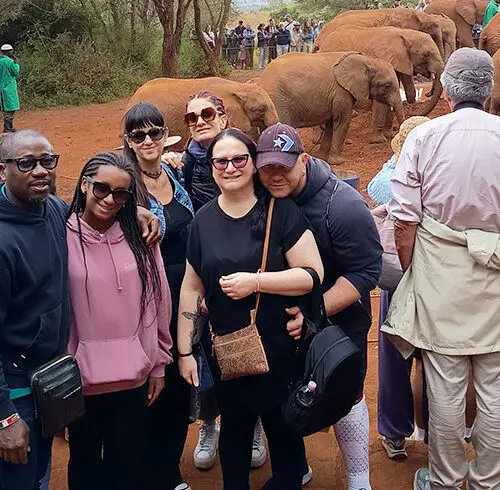 Elefanti orfani durante il bagno nel fango Sheldrick Wildlife Trust