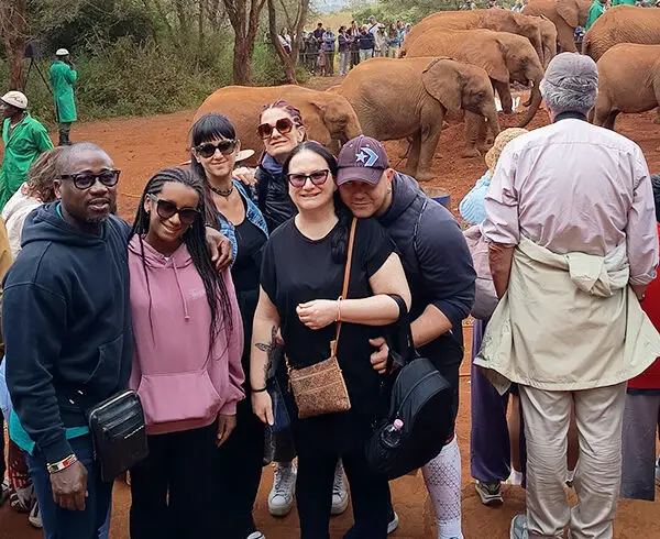 Elefanti orfani durante il bagno nel fango Sheldrick Wildlife Trust