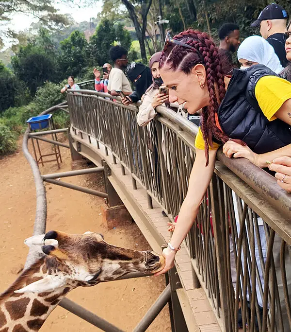 Giraffe Centre Tour Nairobi incontro con giraffe di Rothschild