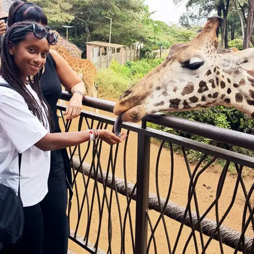 Giraffe Centre Tour Nairobi per famiglie
