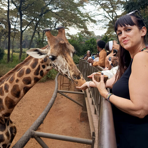 Nairobi Safari visita al Giraffe Centre con daniela monti che da damangiare la giraffa di Rothschild